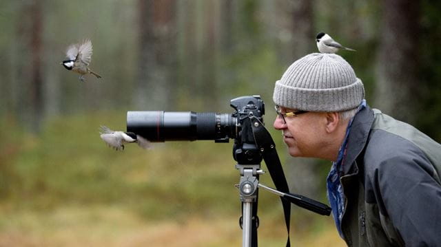 Have a go at birdwatching hero
